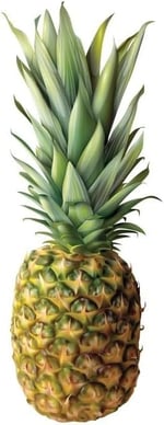 Little Crunchies Freeze Dried Ananas - Dondurularak Kurutulmuş - 30 Gr.