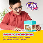Little Live Pets - Mama Surprise Minis. Feed and Nurture a Lil' Mouse Inside Their Hutch so she can be a Mama. She has 2, 3, or 4 Babies with Surprise Accessories to Dres - Seçenekler: Fare, Tavşanlar