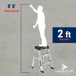 Louisville Ladder AS3002 6966014, 2 ft, siyah