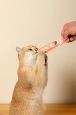 M-PETS CREAMY SOMON BALIKLI KEDİ ÖDÜLÜ 4X15GR