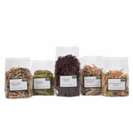 makarna lütfen! Başlangıç Makarna ve Erişte Seti 5 x 100 Gr