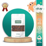 makarna lütfen! Karışık Sebzeli Harf Rakam Şehriye %35 Sebze 250 Gr