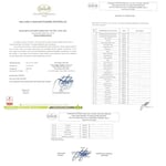 makarna lütfen! Organik Buğday Unu (+8 ay-250 gram)