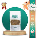 makarna lütfen! Sebzeli Tel Şehriye +8 Ay, 200 gram