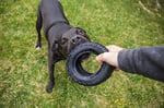 Mamut TireBiterII - Aşırı Çiğneme için Doğal Kauçuk Köpek Oyuncakları - Ekstra Uzun İnteraktif Oyun için Köpek Oyuncakları - Orta - Büyük Köpekler  - Seçenekler: Large 6