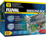 Marina Fluval Hang-On Yetiştirme Havuzu M, 1,2 L Kapasiteli, Balıklar için, Akvaryum için