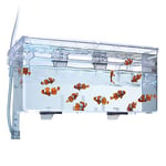 Marina Fluval Hang-On yetiştirme havuzu L, 1,9 l kapasiteli, balıklar için, akvaryum için