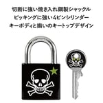 Master Lock 3430EURDSKULL Anahtar Asma Kilit, Kafatası Motifli, 5,3 x 3 x 1,5 cm, Siyah, Beyaz ve Yeşil