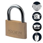 Master Lock CAD40T 2 Adet Masif Pirinçten Yapılmış Anahtarlı Büyük Asma Kilit Paketi, Altın Rengi, 5,4 x 4 x 1 cm