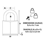 Master Lock CAD40T 2 Adet Masif Pirinçten Yapılmış Anahtarlı Büyük Asma Kilit Paketi, Altın Rengi, 5,4 x 4 x 1 cm