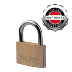 Master Lock CAD40T 2 Adet Masif Pirinçten Yapılmış Anahtarlı Büyük Asma Kilit Paketi, Altın Rengi, 5,4 x 4 x 1 cm