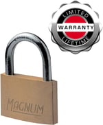 Master Lock CAD40T 2 Adet Masif Pirinçten Yapılmış Anahtarlı Büyük Asma Kilit Paketi, Altın Rengi, 5,4 x 4 x 1 cm