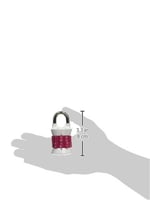 Master Lock Dikey Zuruecksetzbar kelime kombinasyon asma kilit, 1535DWD