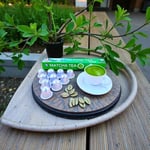 Matcha Çayı Kapsül 10’lu (2 gr) |%100 Camellia Sinensis Matcha Powder – Latte Grade | Vegan, Glutensiz, Doğal | Nespresso Uyumlu Kapsül