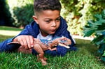 Mattel Jurassic World Vahşi Dinozor Figürü Rajasaurus