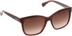 Maxmara MM 0042 71F KARE KEMİK Cerceve Güneş Bayan Gözlüğü