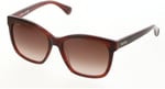 Maxmara MM 0042 71F KARE KEMİK Cerceve Güneş Bayan Gözlüğü