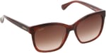 Maxmara MM 0042 71F KARE KEMİK Cerceve Güneş Bayan Gözlüğü