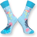 Me-vo Tekli Bebe Mavisi Renkli Bay/Bayan Unisex Esnek Nem Alabilen Pamuklu Flamingo Desenli Soket Çorap