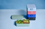 Mepal Rosti Lunchbox Take A Break Large A, plastik, Nordic pembe, 25,5 x 17 x 6,5 cm