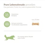 MERA Pure Sensitive Goody Snack Insect (600 g), hassas köpekler için sağlıklı atıştırmalıklar, böcek protein ve pirinçten köpek ödül maması, glutensiz köpek atıştırmalığı, antrenman ve ödül için