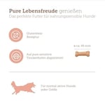 MERA Pure Sensitive Somonlu ve Pirinçli Köpek Bisküvisi 600 Gram