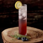 Mesa 41716 Pub Uzun Kokteyl - Meşrubat Bardağı - Long Drinks/Collins (21,4cm - 8,4