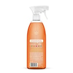 Method Çok Amaçlı Yüzey Temizleyici Narenciye Kokulu 828Ml