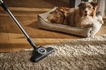 Miele Fırça Turboteq Stb 305-3 Elektrikli Süpürge Fırçası