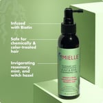Mielle Rosemary Mint Kuru Şampuan Saç Derisi Ve Saç Kenarı Temizleyici Yağ 118Ml Unisex