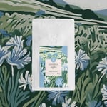 Mim and More Chicory Coffee - Hindiba Öğütülmüş Filtre Kahve, 200 Gr