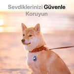 Minesk Airtag ile Uyumlu SuperLock Serisi Kilitli Kılıf ve Darbelere Karşı Ultra Güçlü Koruyucu Anahtarlık (Siyah)