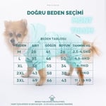 Mint Kürklü Tulum Yağmurluk Küçük Irk Yağmurluk Köpek Kıyafeti Köpek Yağmurluğu M