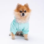 Mint Kürklü Tulum Yağmurluk Küçük Irk Yağmurluk Köpek Kıyafeti Köpek Yağmurluğu M