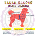 Mint Kürklü Tulum Yağmurluk Küçük Irk Yağmurluk Köpek Kıyafeti Köpek Yağmurluğu M