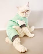 Minty Palm Kalın Penye Kedi Tulum Pijama L