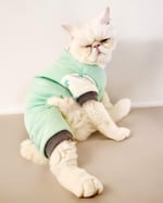 Minty Palm Kalın Penye Kedi Tulum Pijama L