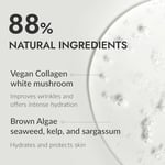 Mizon Phyto Plump Kolajen Serum 30ml