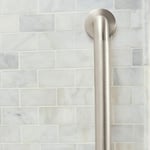 Moen R8724P Evde Bakım Banyo Güvenliği 24 İnç Tutunma Çubuğu, Gizli Vidalı, Peened