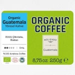 Moliendo Finest Coffe Organic Guatemala SHB Yöresel Kahve (Çekirdek) 250 g