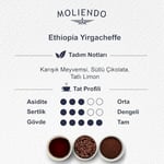 Moliendo Finest Coffee Ethiopia Yirgacheffe Pratik Filtre Kahve 10x10 g