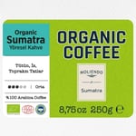 Moliendo Finest Coffee Organic Indonesia Sumatra Yöresel Kahve (Çekirdek) 250 g