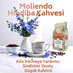 Moliendo Hindiba Kahvesi150 g