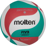 Molten Volleyball
