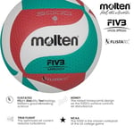 Molten Volleyball