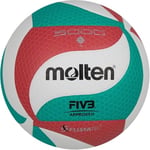 Molten Volleyball
