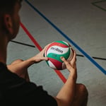 Molten Volleyball
