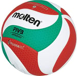 Molten Volleyball