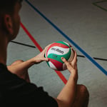Molten Volleyball