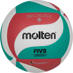 Molten Volleyball